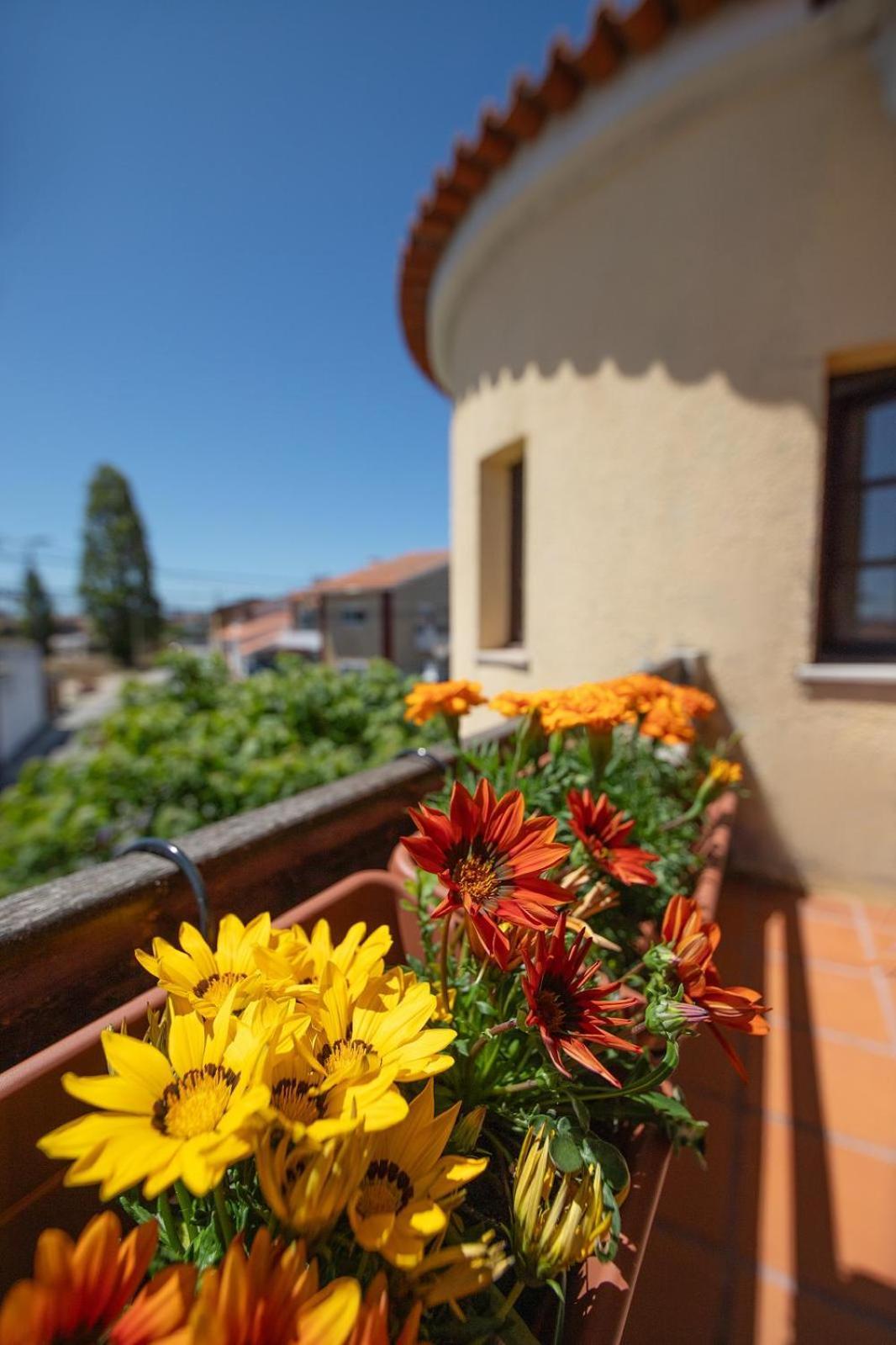 Villa Salgado Gafanha da Nazare Bagian luar foto